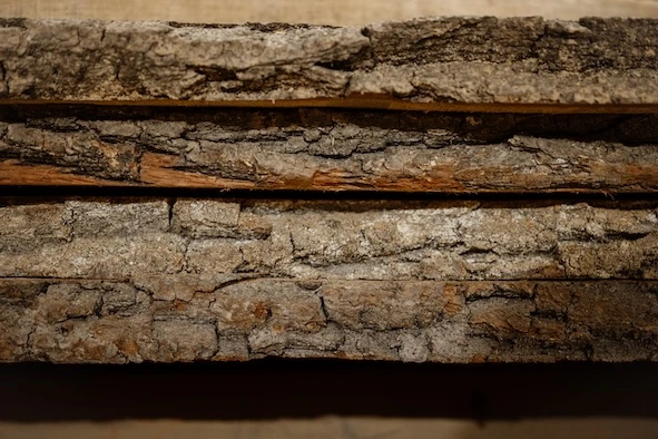 Купить Результаты опроса